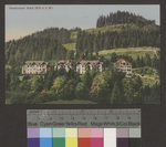 Sanatorium Wald (910 m ü. M.)