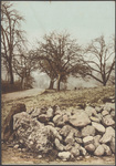 [Feldweg mit Steinhaufen im Vordergrund]