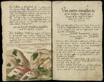 [Im August 1581 geschah in Engelberg ein Bergsturz, der 80 Stück Vieh unter sich begrub]