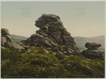 Dartmoor. Vixen Tor