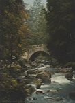 Harz. Bodebrücke zwischen Schierke&Elend